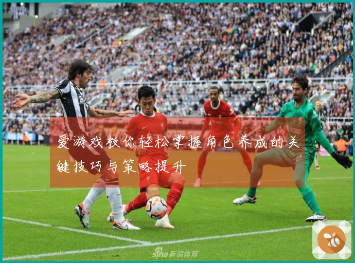 爱游戏教你轻松掌握角色养成的关键技巧与策略提升