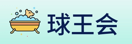 球王会 logo